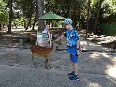 2018-07 Japan (Osaka 2)